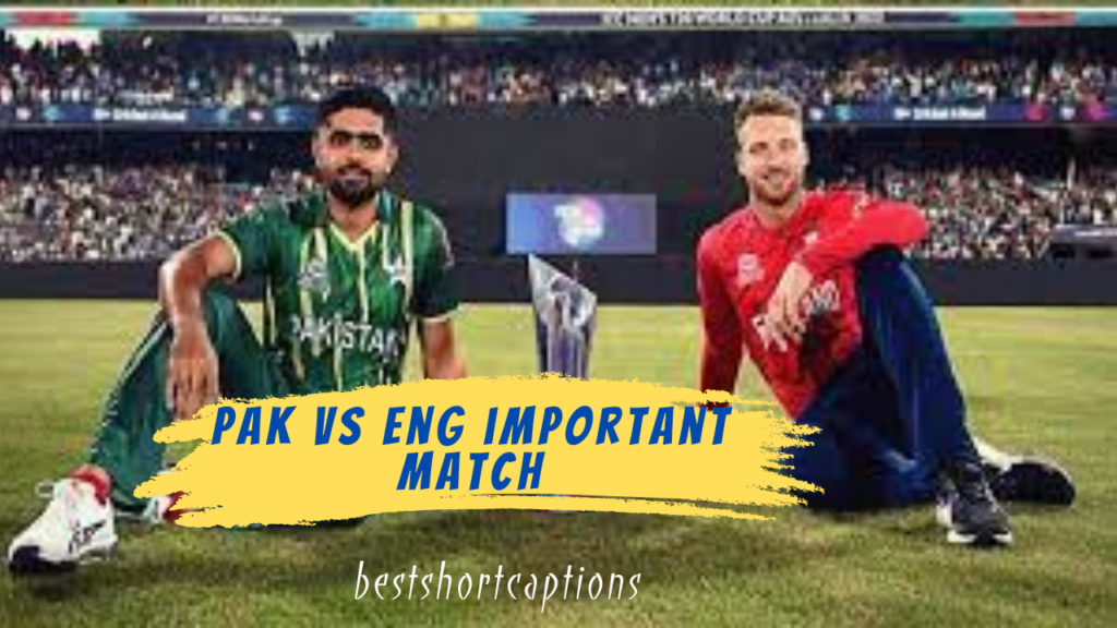 Pak vs eng important match