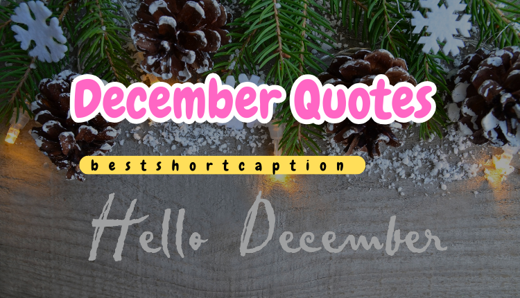 70+Best December Quotes Inspire You to Enjoy the Month