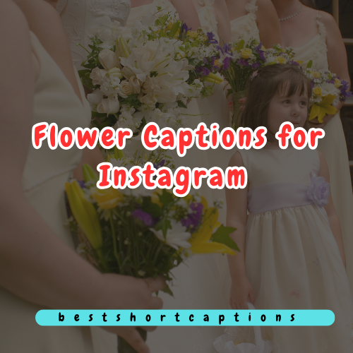 200 Best Flower Captions for Instagram
